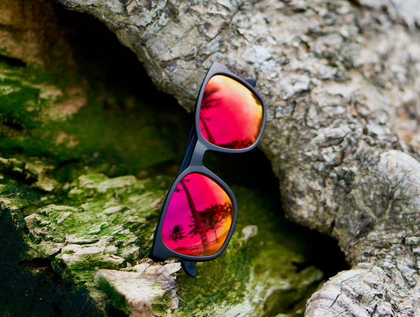 Sunday Shades Tempo Series Sunglasses