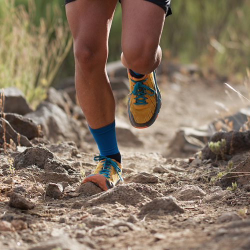 Embracing the Wilderness The Joy and Challenges of Trail Running