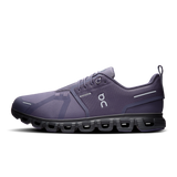 On Men Cloud 6 Waterproof - Flint / Black