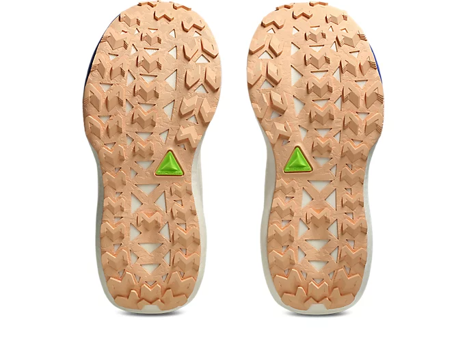 ASICS Women Trabuco Max 5 - Amethyst / Black